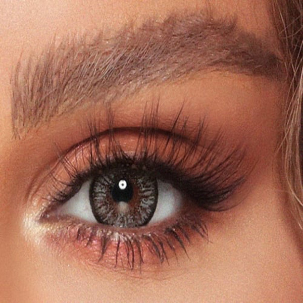 Amara - Charcoal Gray  2 Lenses - Monthly