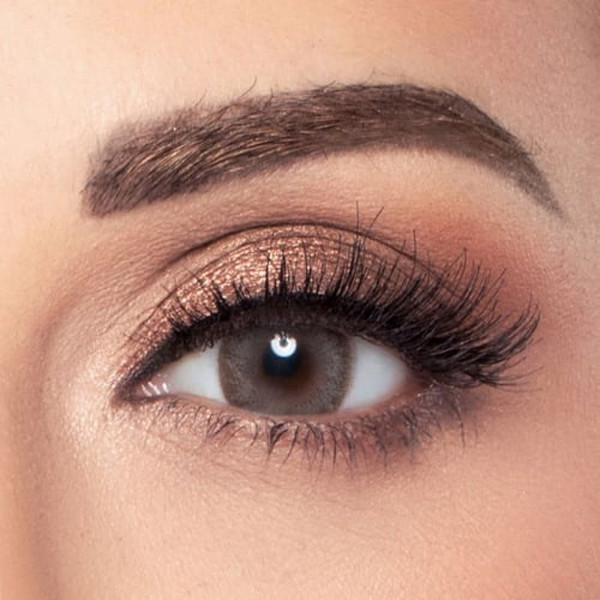 Amara - Dark Sepia  2 Lenses - Monthly