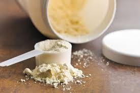 The Top Protein Powder Brands for You: A Comprehensive Review | Medilife Online Pharmacy Dubai