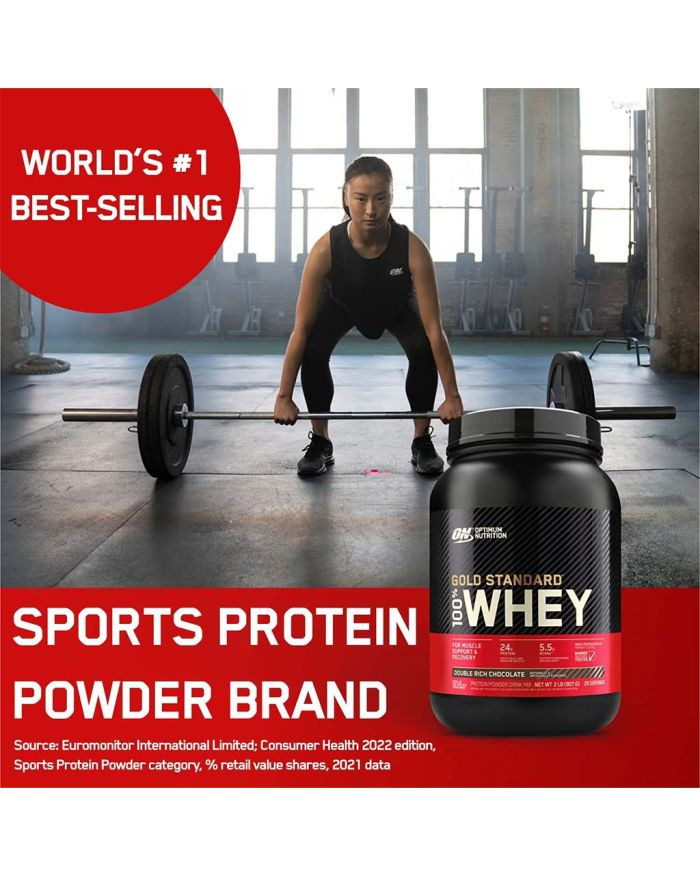 Optimum Nutrition Gold Standard 100% Whey Protein Powder, Double Rich  Chocolate + Free Shipping 