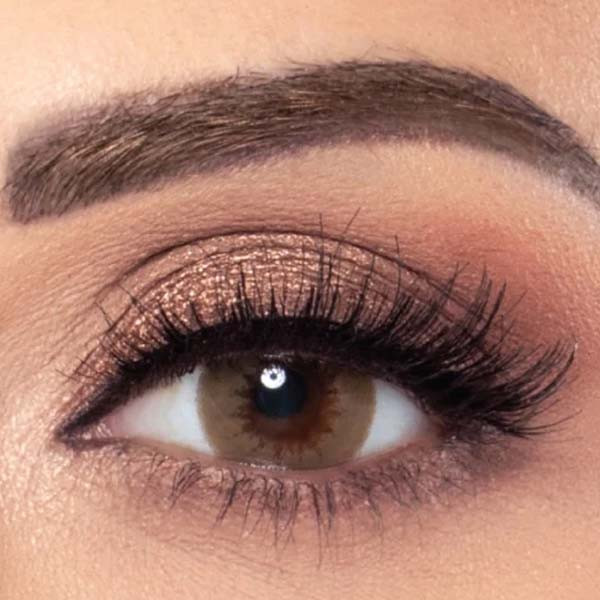 Amara - Mocca  2 Lenses - Monthly