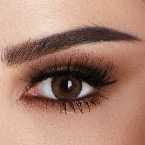 Amara - Cocoa  2 Lenses - Monthly